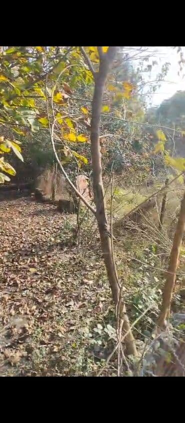 xalqlarda kiraye evler ucuz: Təcili satılır yolqirağı böykk həyet evqarişiq — 4