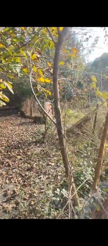 zig qesebesinde heyet evleri: Salam .8sot həyət ev qarışığ yol qırağı satıram — 2