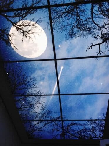 Asma tavanlar: Asma tavan, Odadavamlı, Pulsuz çatdırılma, Ödənişli quraşdırma, Zəmanətli — 11