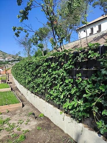 Горшки для растений: 🔹 Mini Garden (Vertical Green Wall) – Portuqaliya istehsalı Layihə — 6