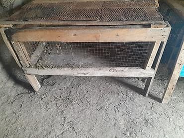 dovşanın balasına nə deyilir: Taxta heyvan qəfəsi / yuvası - Material: taxta karkas, yan və ön — 2