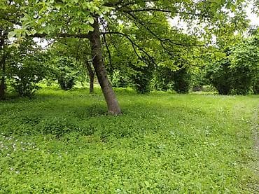 XALXAL kəndində 5.10.15sot istenilen qeder tikinti təyinatli