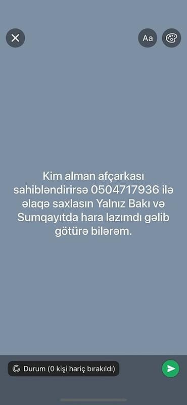 quba heyvanlar: Alman çoban iti — 1