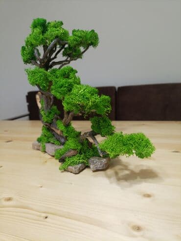 qizil destleri 2021: Təbii mamır və ağacdan hazırladığım bonzay agaci.hədiyyə üçün — 5