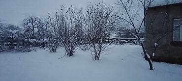 Bentley: 10 sot, Biznes üçün, Mülkiyyətçi, Kupça (Çıxarış) — 9