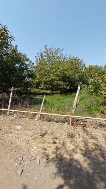 binə atçılıq torpaq satılır: 8 sot, Tikinti, Maklerlər narahat etməsin, Kupça (Çıxarış) — 2