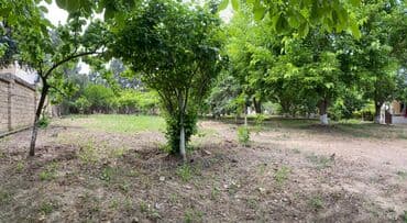 xoçəsən: 17 sot, Tikinti, Mülkiyyətçi, Bələdiyyə — 6