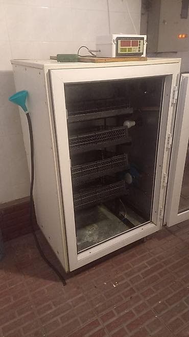 İnkubatorlar: Yumurta inkubatoru – şkaf tipli, şüşə qapılı Məhsul təsviri: - Şkaf — 1