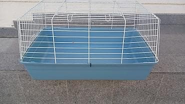 qus yuvasi: Dovsan qefesi az istifade olunub unvan azneft qruqu teref fnuklorun — 3