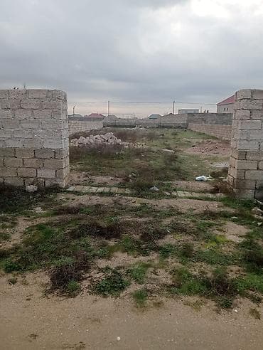 5 sot, Tikinti, Kupça (Çıxarış)