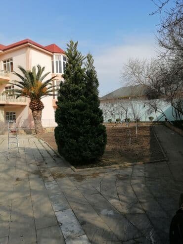 работа уборщицы на неполный рабочий день: Salam aleykum Adim Sahib 44yaşim var Bakıda yaşayiram Baki etrafi — 17