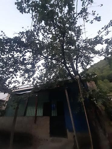 bineqedi heyet: 500 kv. m, 2 otaqlı, İşıq — 2