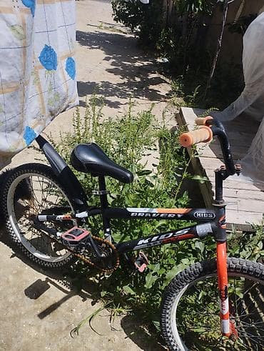 24 velosiped: İki təkərli Uşaq velosipedi 22", sürətlərin sayı: 1 — 1