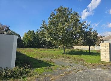 750 sot, Tikinti, Mülkiyyətçi, Kupça (Çıxarış)