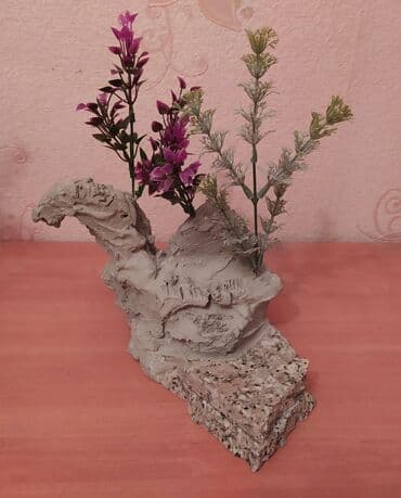 suda yaşayan heyvanlar: Akvarium dekorları — 3