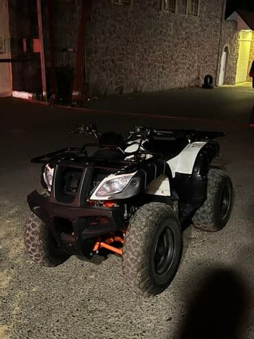 сколько стоит квадроцикл: Kayo - AU150, 200 см3, 2023 год, 100 км — 9