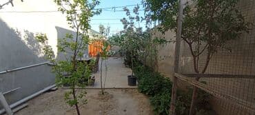 17 ci mikrorayon: Dədə Qorqud 3 otaqlı, 130 kv. m, Kredit yoxdur — 17