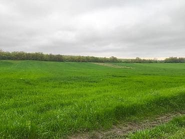 fatmayıda torpaq: Kənd təsərrüfatı — 1