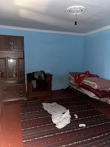 berde ev: Bağ sahəsi və yardımçı tikili - Üzüm tağları ilə örtülü, yaşıllıqla — 5