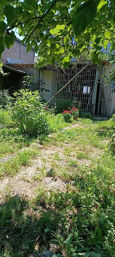 2 mertebe heyet evleri: 35 kv. m, 1 otaqlı, Qaz, İnternet, Telefon — 5