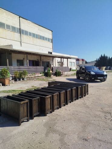 bitkiler: Dibçək güldanlar. Dipçəklər bir başa sexdən.Sex qiymətinə. ♦️Endrim — 6