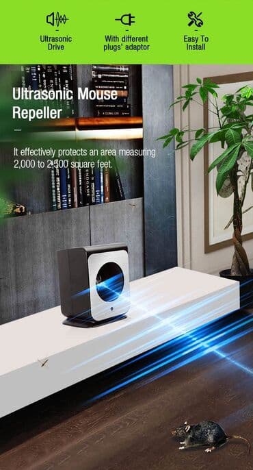 siçan zeheri: Siçan qovan, Yeni, Pulsuz çatdırılma — 2