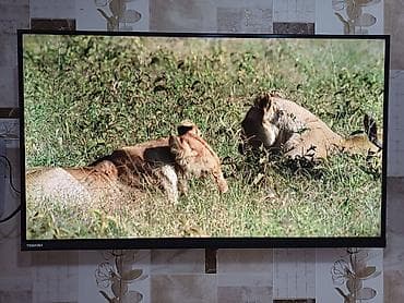 Yeni Televizor Toshiba LED ekran 82" 8K (7680x4320), Ünvandan götürmə