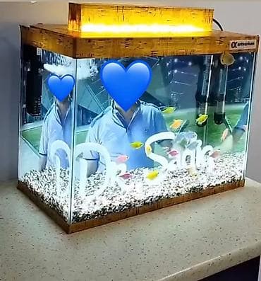 Akvarium yenidir heçbir problemi yoxdur. 20litr su tutur