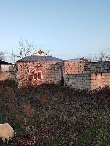 şirvan əmlak: Şirvan şəhər Hacıqəhrəmanlı qəsəbəsi Fərman quliyev küçəsi Həyətyanı — 3