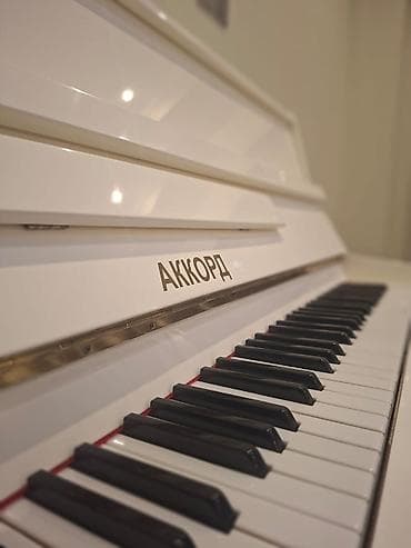 İdman və hobbi: Piano, Akkord, Akustik — 2