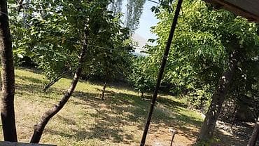kiraye evler 200 manata: Şəki, gündəlik kirayə – 3 otaqlı həyət evi - Sahə: 60 m² - Mərtəbə — 9
