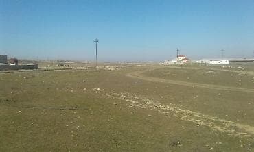 mingecevir satiliq evler: 2 sot, Kənd təsərrüfatı, Mülkiyyətçi, Kupça (Çıxarış) — 4