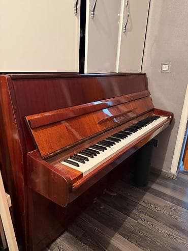 roma: Upright pianino – Юность ) modeli - Korpus: parlaq tünd qəhvəyi taxta — 4