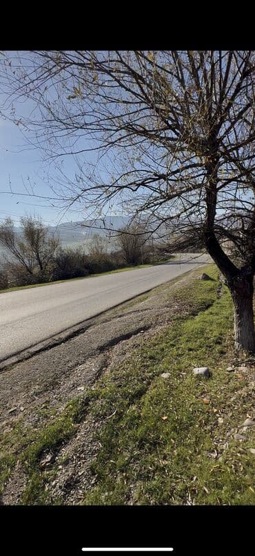 lenkeran kiraye villa: 14 sot, Tikinti, Mülkiyyətçi, Kupça (Çıxarış) — 10