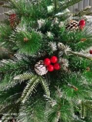 usaq ad gunu tebrikleri: Yolka — 2