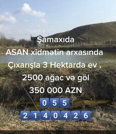 Biznes üçün, Mülkiyyətçi, Kupça (Çıxarış) lalafo.az -da Biznes üçün, Mülkiyyətçi, Kupça (Çıxarış)