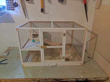 bildircin yuvası: Papuqay,dovşan,hamster,şinşila,bildirçin,cücə,xamyak,pişik,quş,tısbağa — 1