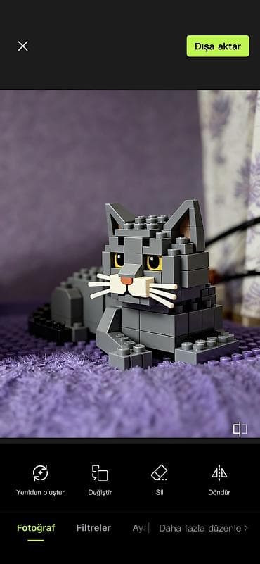 ev pisiyleri: Britan, Erkək, Yaxşı əllərə, Ünvandan götürmə — 5