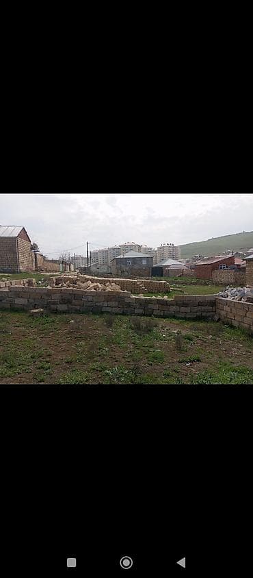 Tikinti