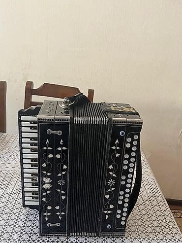 Музыкальные инструменты: Гармонь, Б/у — 2