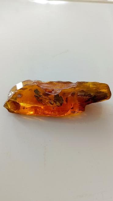 Янтарь, Бесплатная доставка — 7