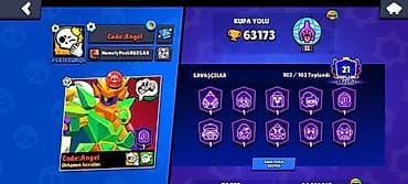 İncəsənət və kolleksiyalar: Brawl Stars hesabı – yüksək kubok və tam kolleksiya - Kupa yolu — 1
