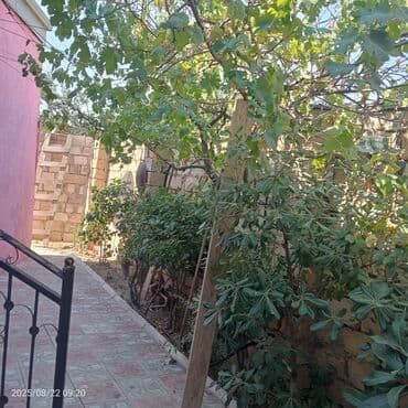 yaşıl dərə həyət evləri: 1 otaqlı həyət evi – bağ sahəsi ilə - Giriş: Həyətyanı sahəyə açılan — 4