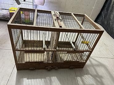 quş ucun qəfəs: Bülbül qafəsi arakəsməli taxtadır — 3