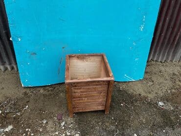 meyve agaci: Taxta sexi. 📍Ünvan : Qala #Dibçək #Dibçək #Güldan #Güldan #Agac #Agac — 4