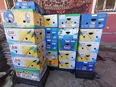 arpa qiyməti 2025: Banan karopkası biri 50 qəpik. 30 a yaxın var. Nasosnudadı — 1