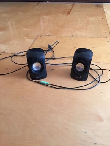 Masaüstü kompüterlər və iş stansiyaları: Genius firması, Maşın və ya kompyuter üçün səs artırıcı təzədir — 1