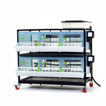 inkubator satisi: Çimuka cb25 cücə böyütmə qəfəsi — 1