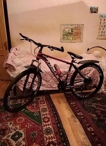 Велосипед, скоростной. Размер 29. Велосипед красного цвета. Куплен