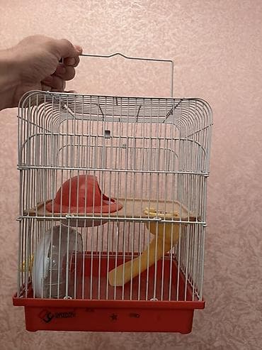 Yataqlar: Sağlam veziyyetdedir lakin şekilde işaretlenen yer qırıqdır oda heç — 2